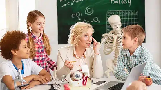 ما المراحل الدراسية التي تشملها الدروس الخصوصية